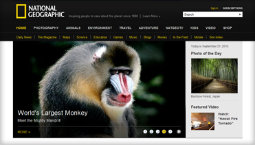 手机号网页在线轰炸源码